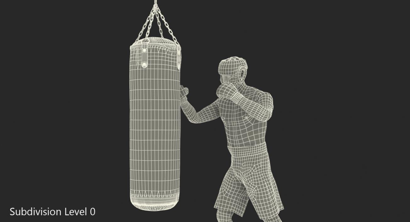 3D Boxer with Punching Bag model