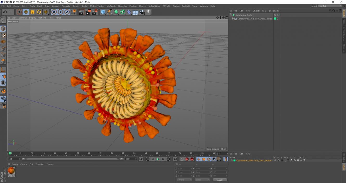 Coronavirus SARS-CoV Cross Section 3D model