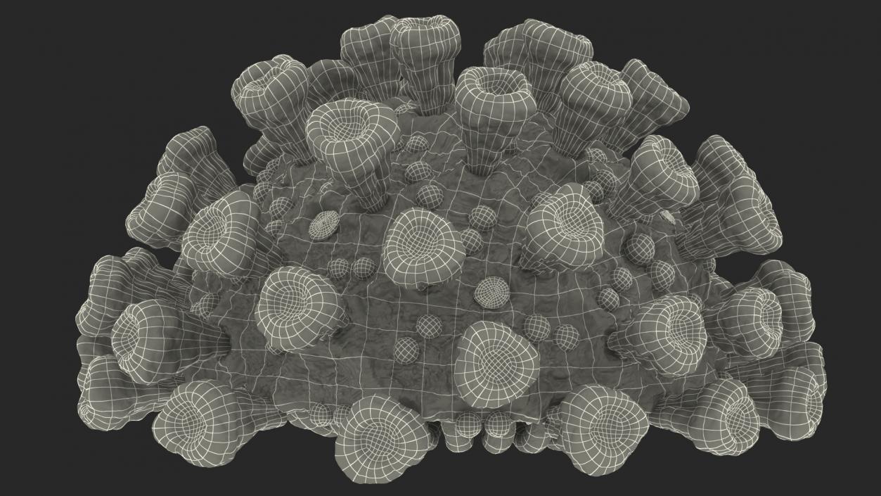 Coronavirus SARS-CoV Cross Section 3D model