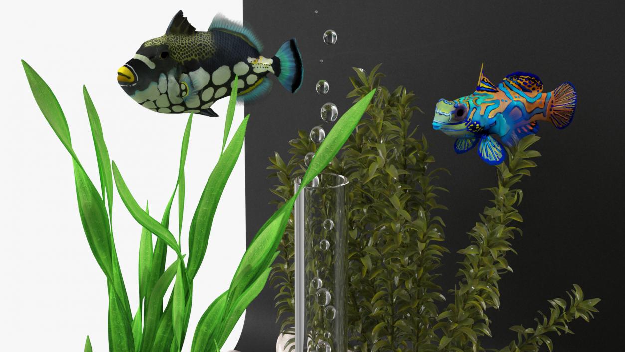 3D Designer Rectangle Aquarium Black with Fish model