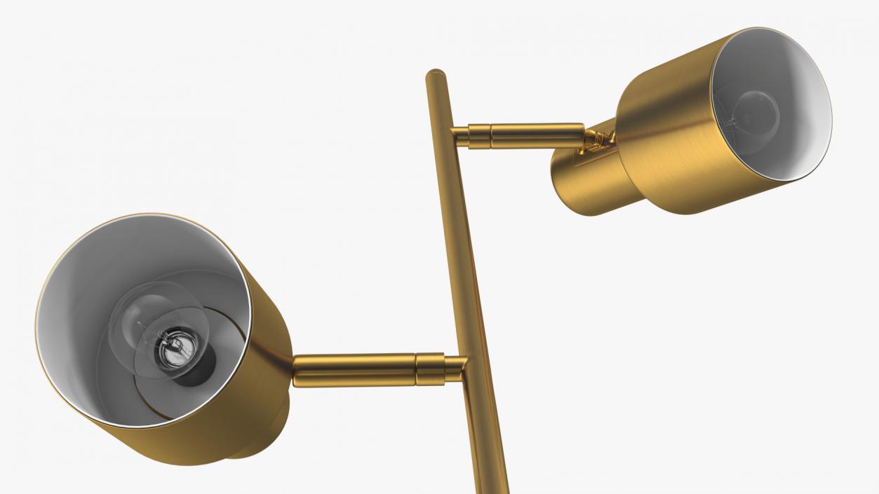 Two Shades Floor Lamp Brass 3D