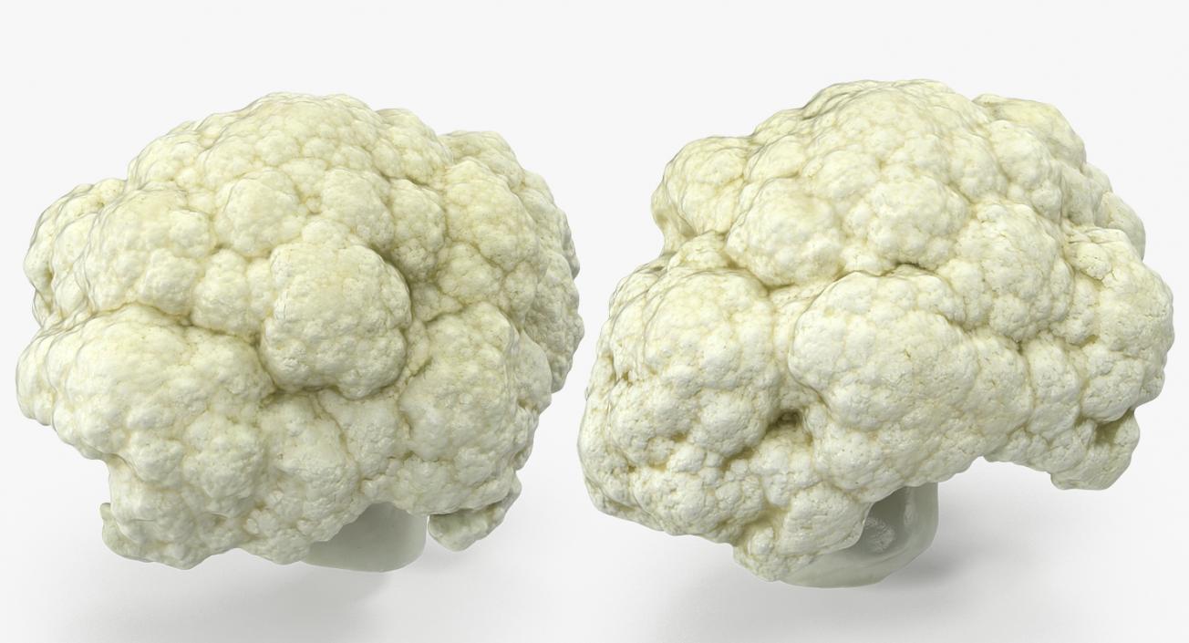 Cauliflower 3D Models Collection 3D