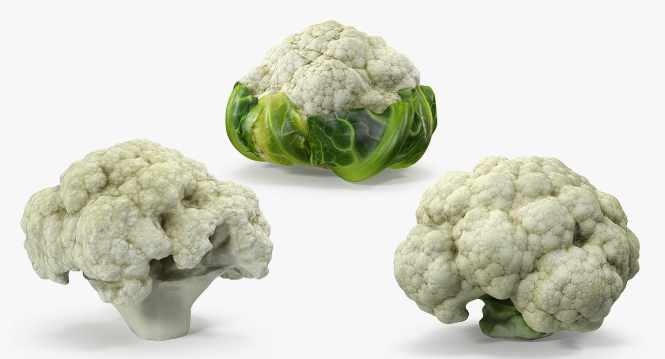 Cauliflower 3D Models Collection 3D