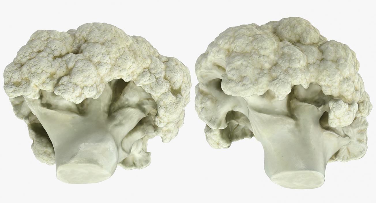 Cauliflower 3D Models Collection 3D