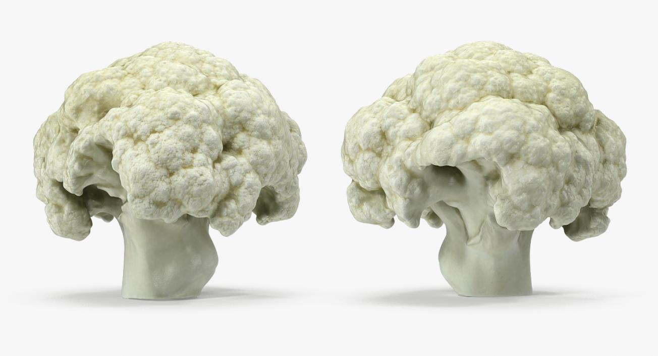 Cauliflower 3D Models Collection 3D