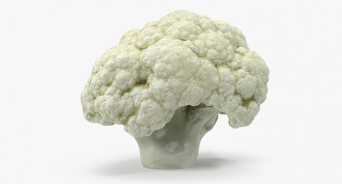 Cauliflower 3D Models Collection 3D