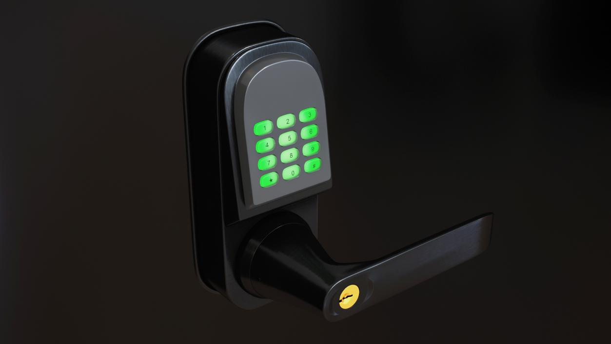 3D Smart Lock with Keypad Door Knob Black model