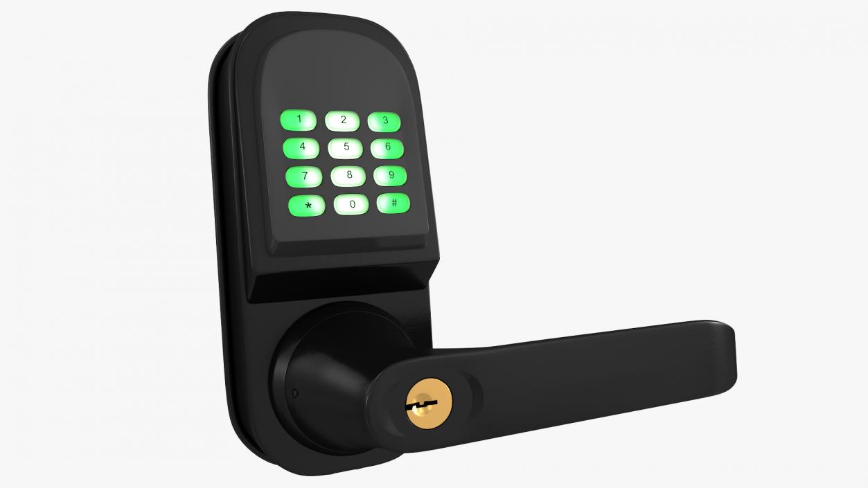 3D Smart Lock with Keypad Door Knob Black model