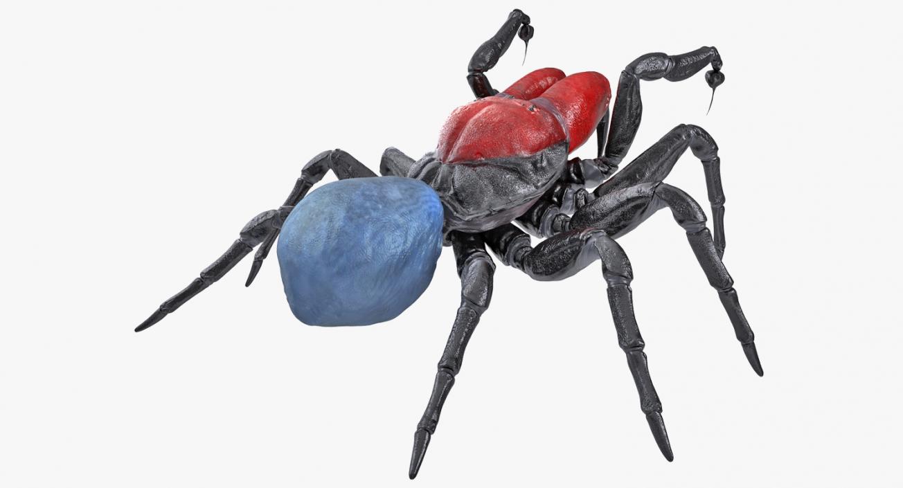 3D Mouse Spider Fighting Pose