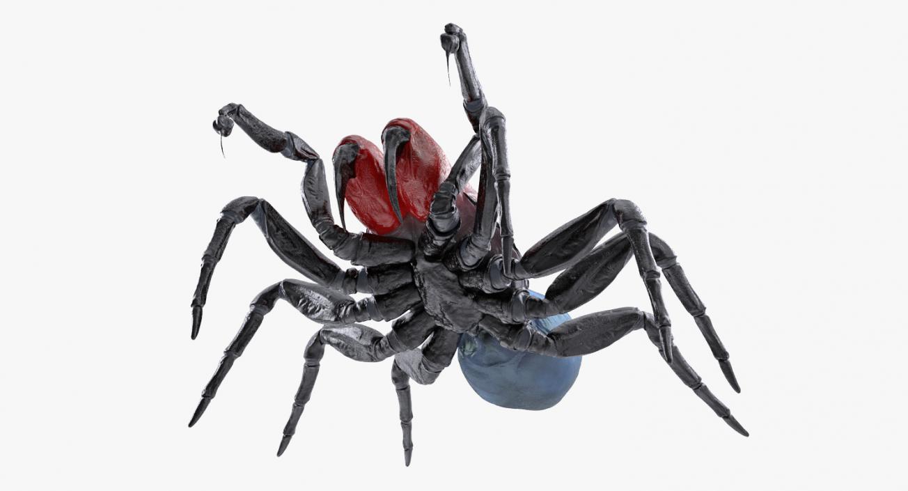 3D Mouse Spider Fighting Pose