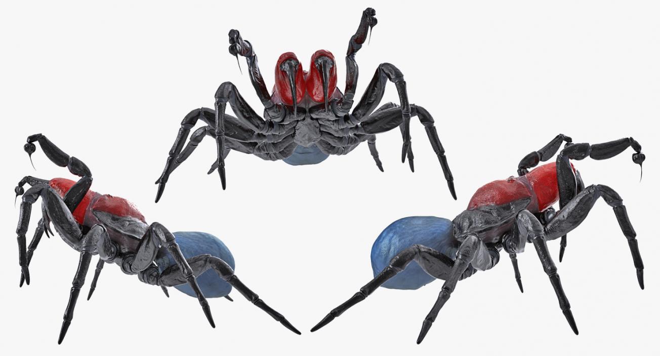 3D Mouse Spider Fighting Pose