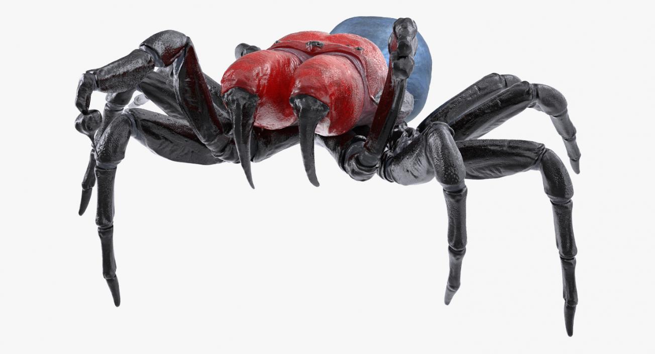 3D Mouse Spider Fighting Pose