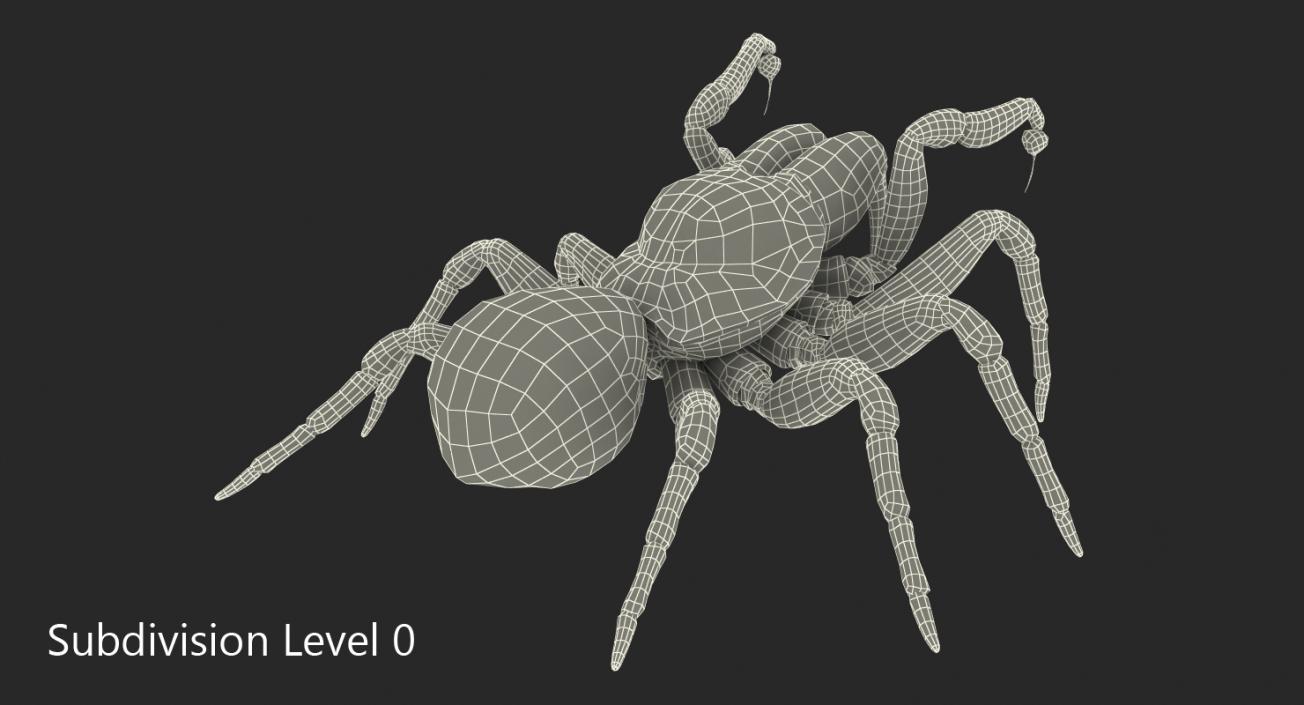 3D Mouse Spider Fighting Pose