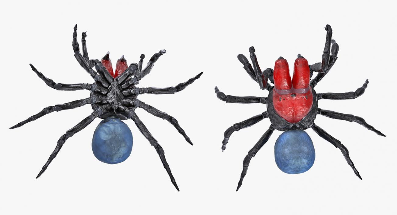 3D Mouse Spider Fighting Pose