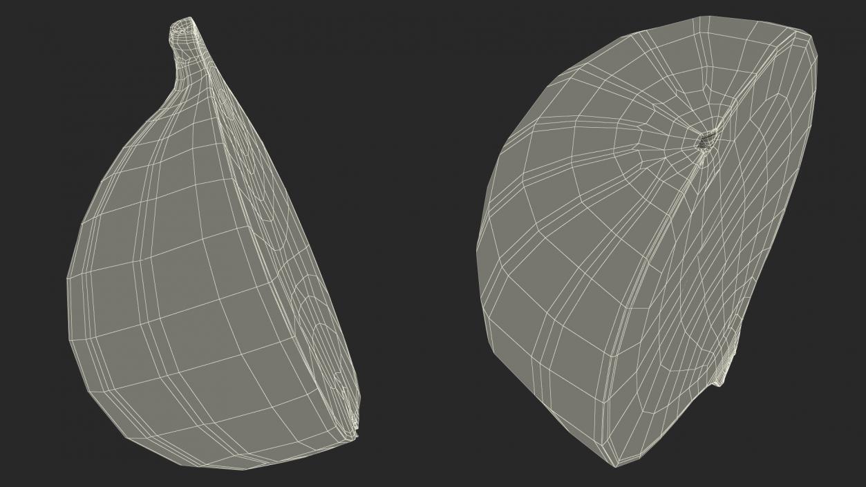 3D Ficus Carica Green Half model