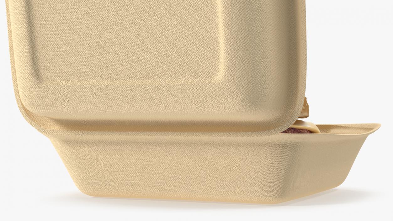 Bagasse Food Box with Cheeseburger 3D model