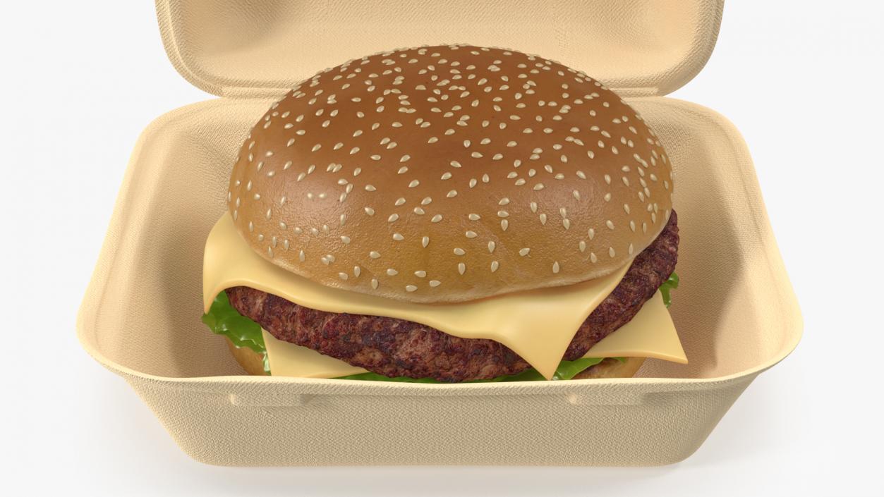 Bagasse Food Box with Cheeseburger 3D model