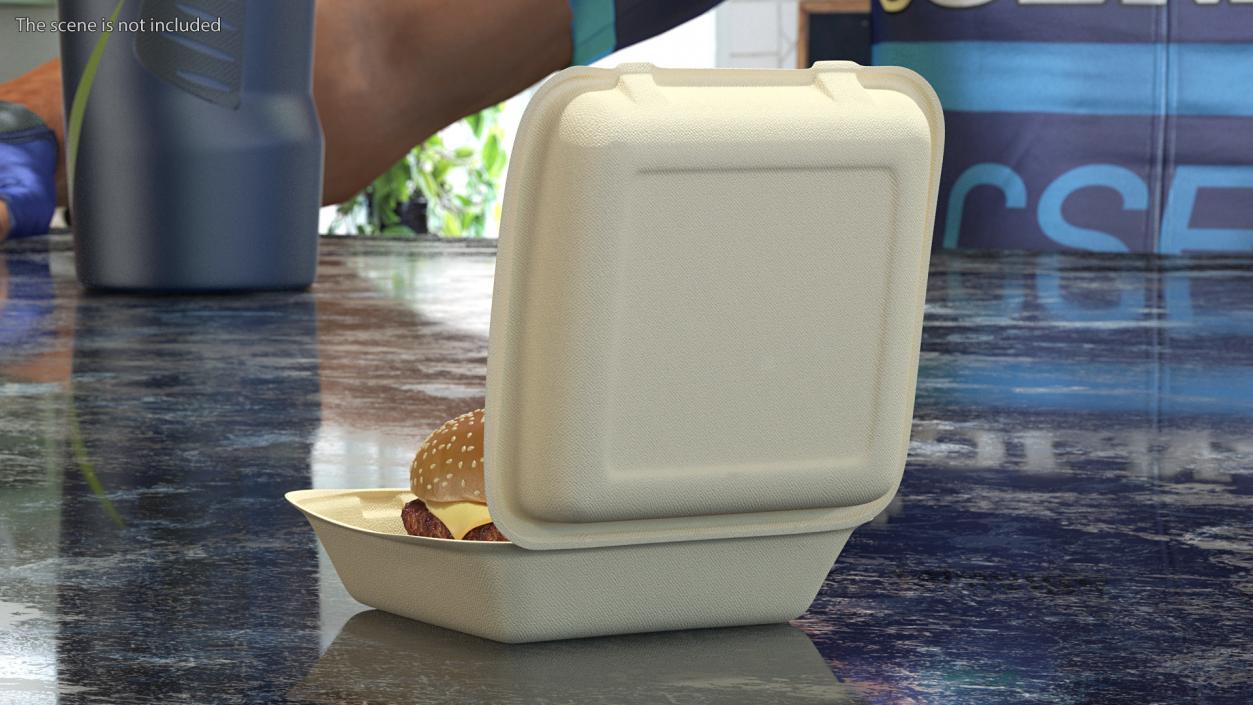 Bagasse Food Box with Cheeseburger 3D model