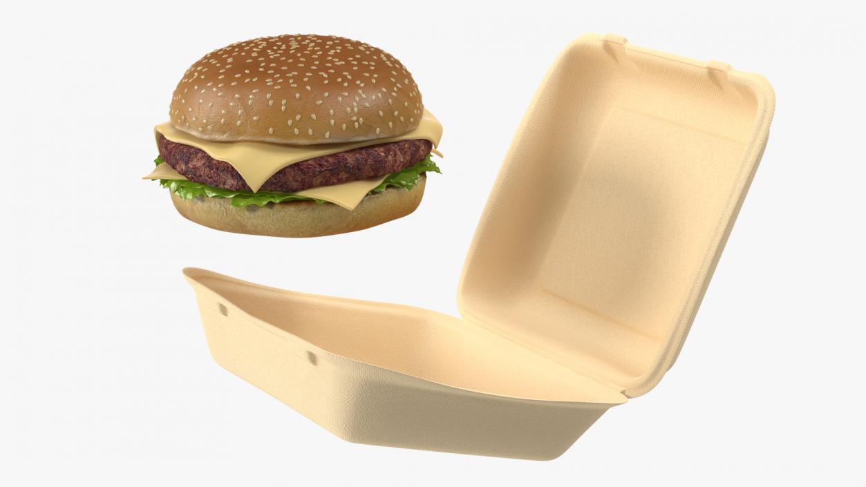 Bagasse Food Box with Cheeseburger 3D model