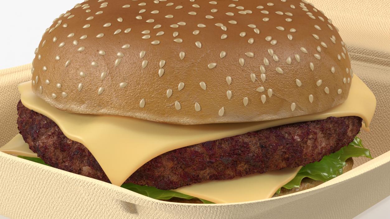 Bagasse Food Box with Cheeseburger 3D model