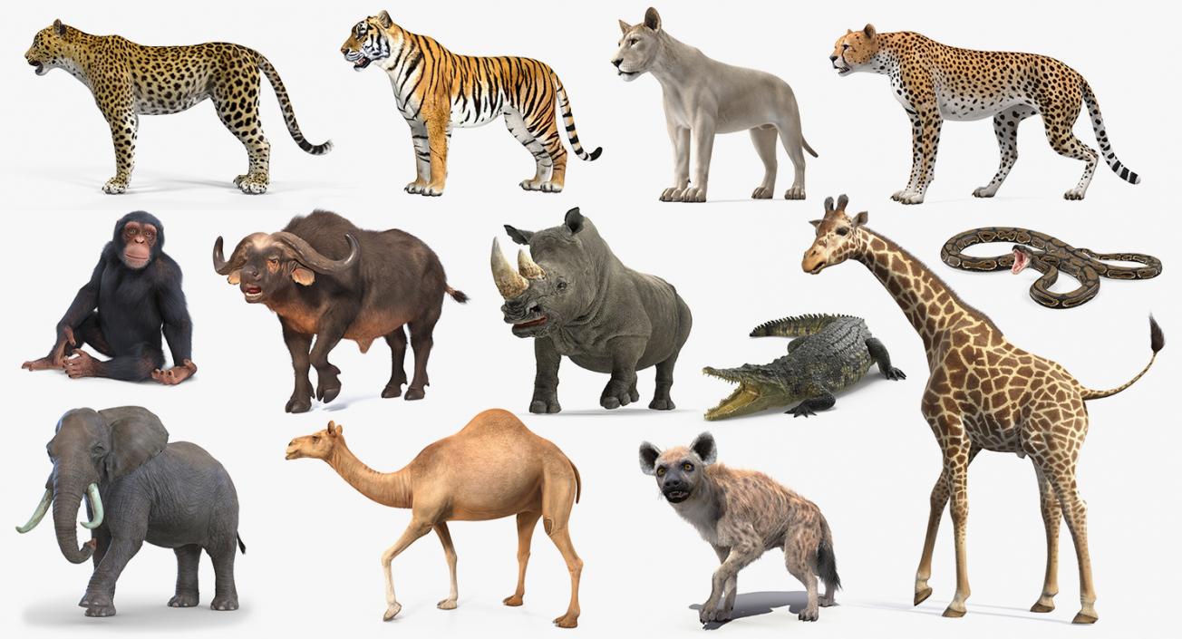 3D Rigged African Animals Collection 10