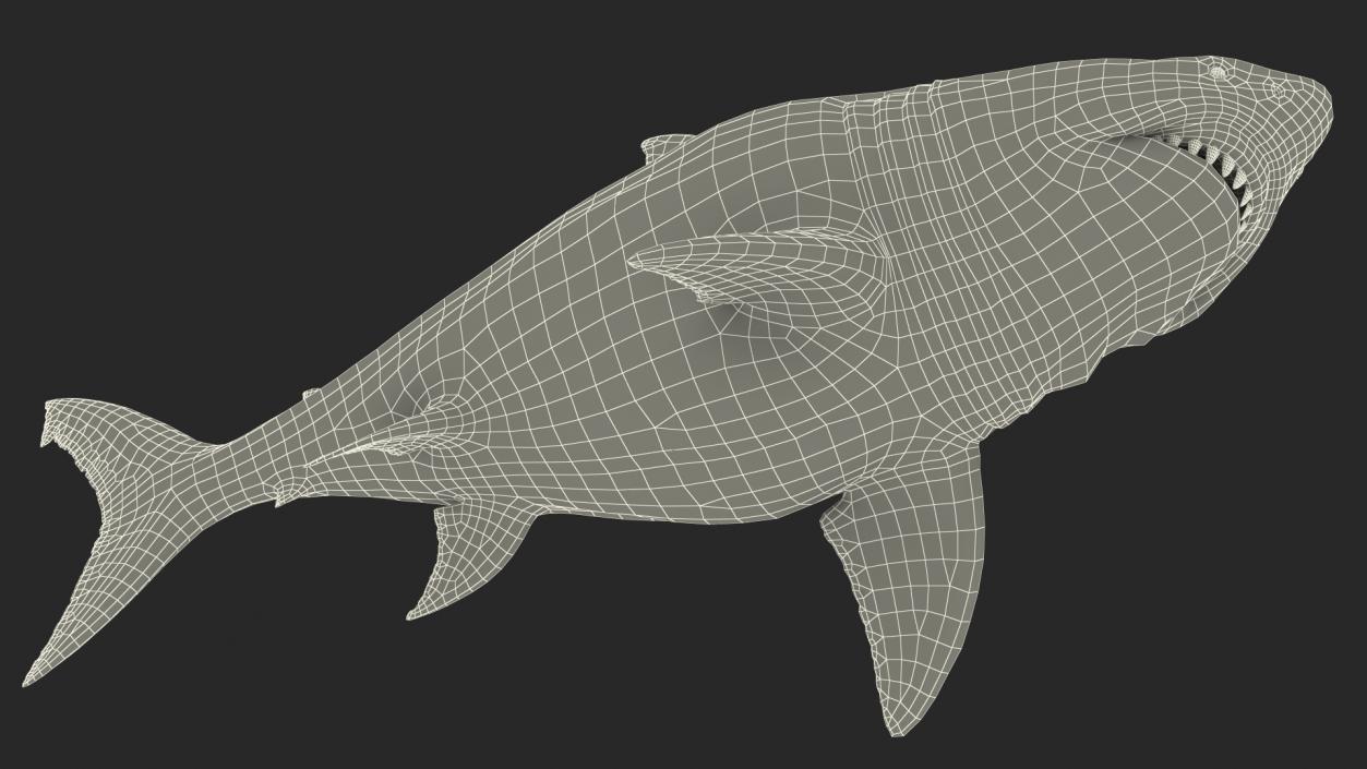 3D Megalodon Rigged