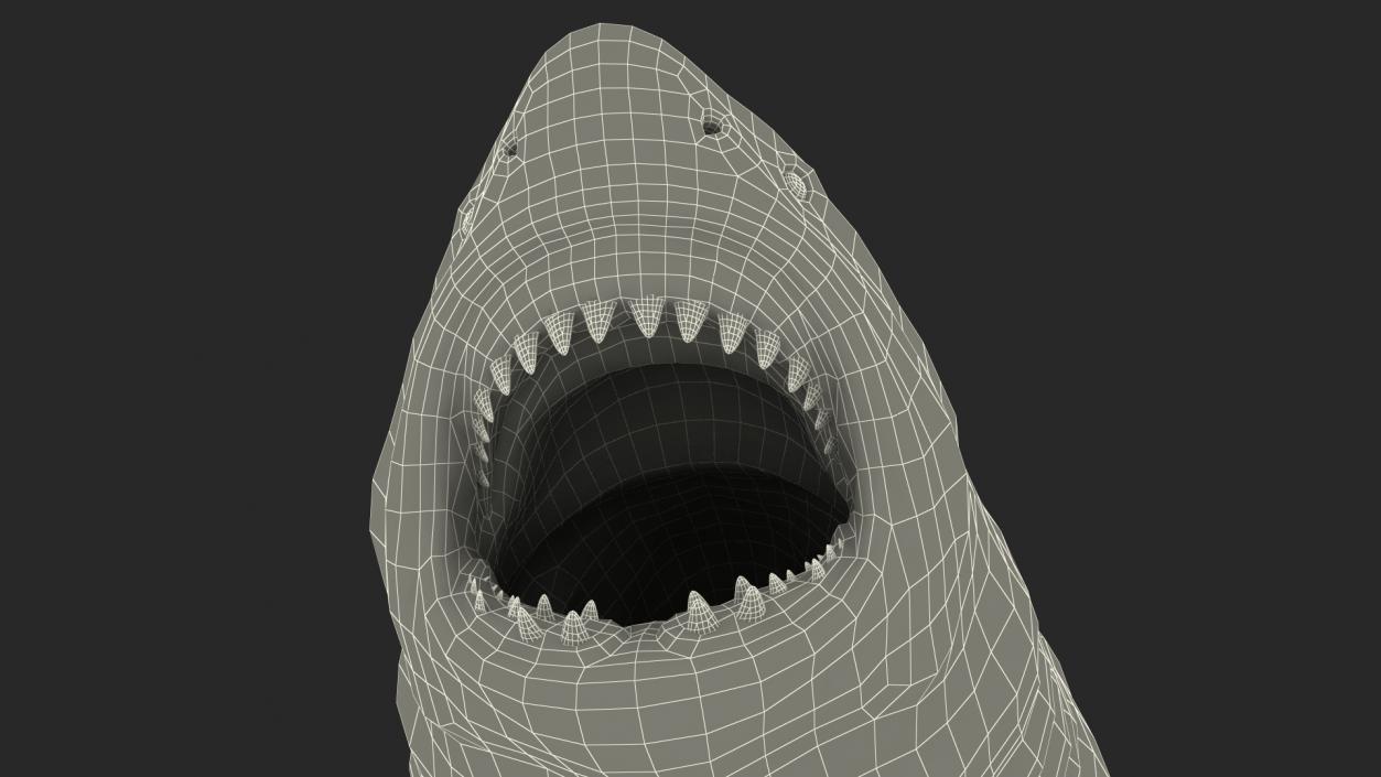 3D Megalodon Rigged