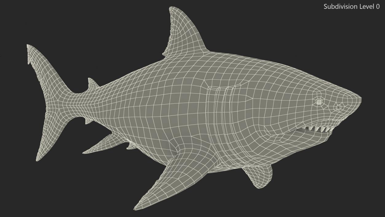 3D Megalodon Rigged