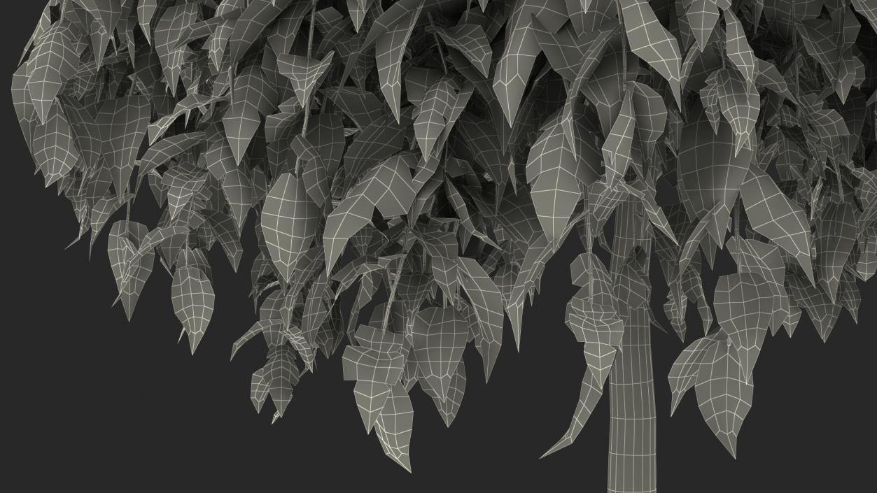 3D model Morus Tree