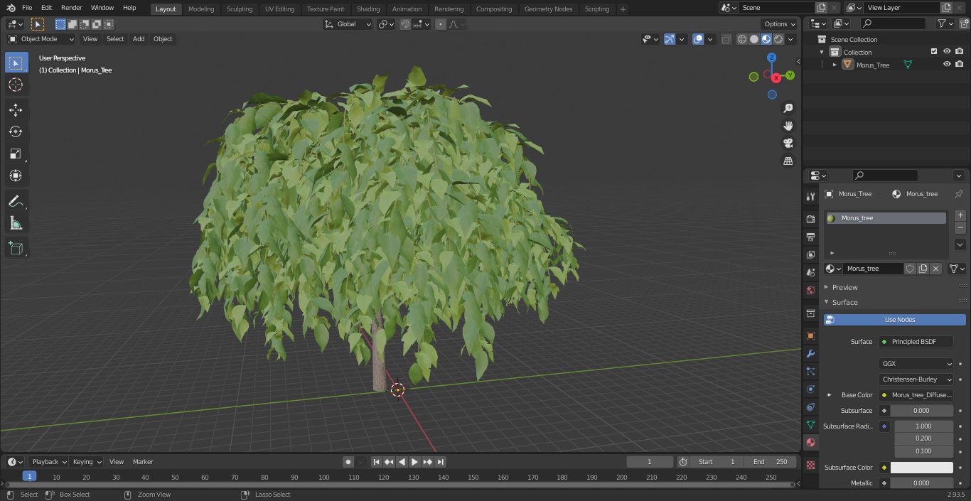 3D model Morus Tree