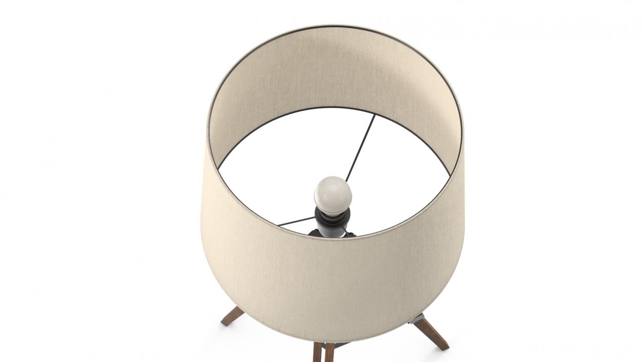 Tripod Floor Lamp 3D