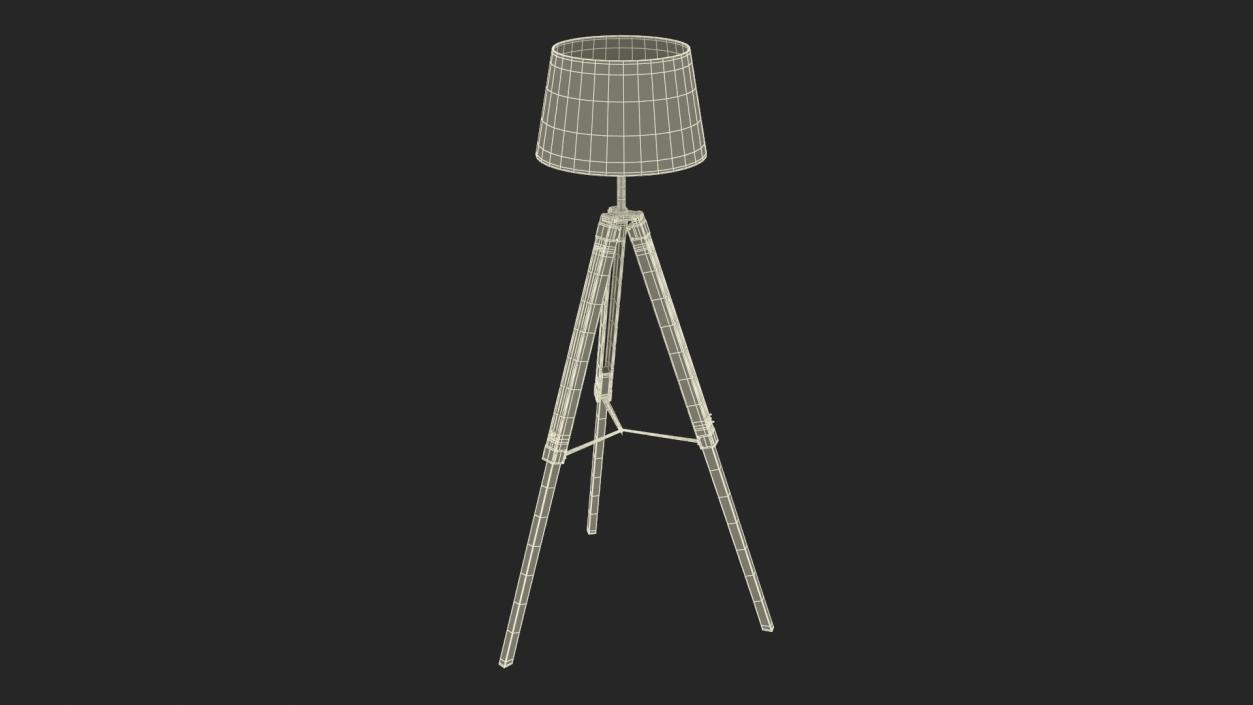 Tripod Floor Lamp 3D