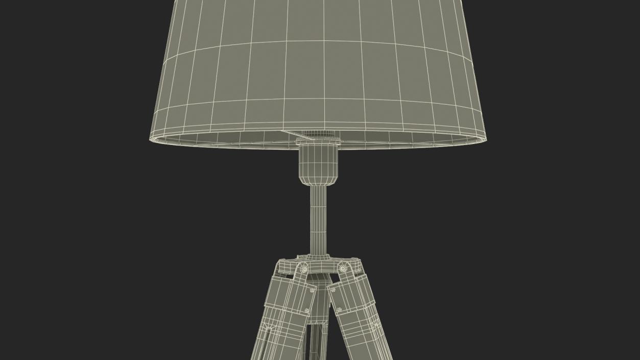 Tripod Floor Lamp 3D