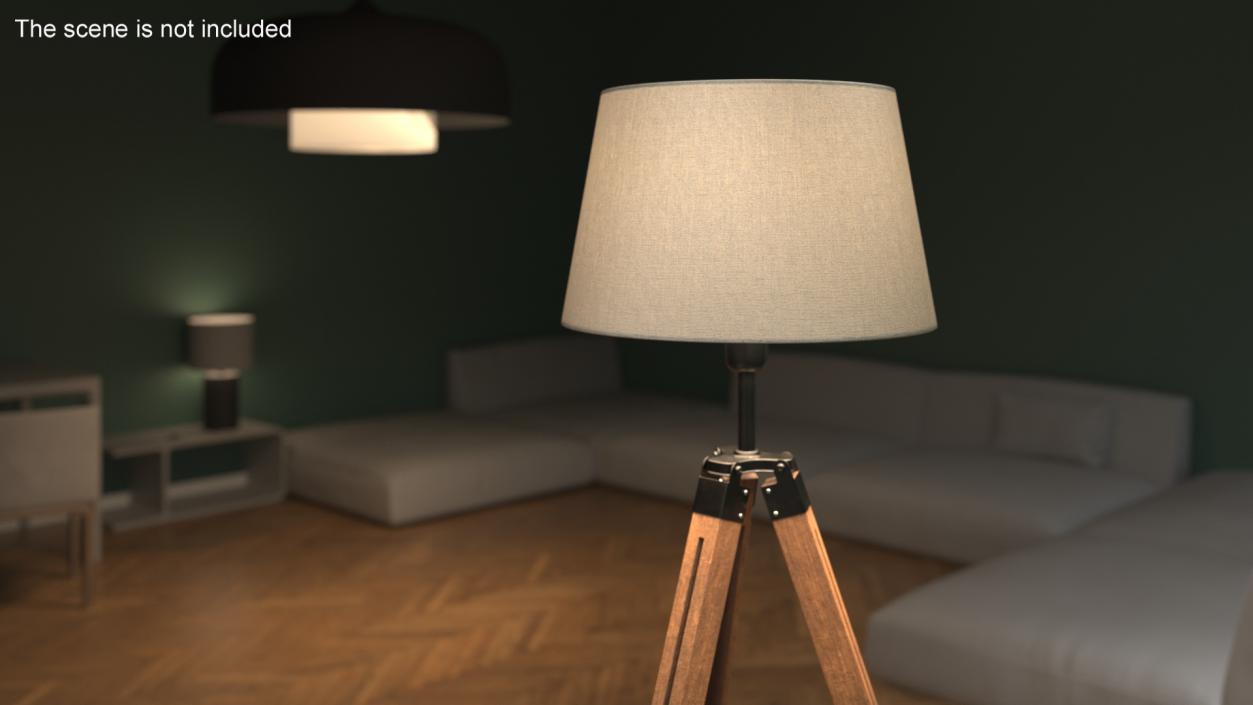 Tripod Floor Lamp 3D