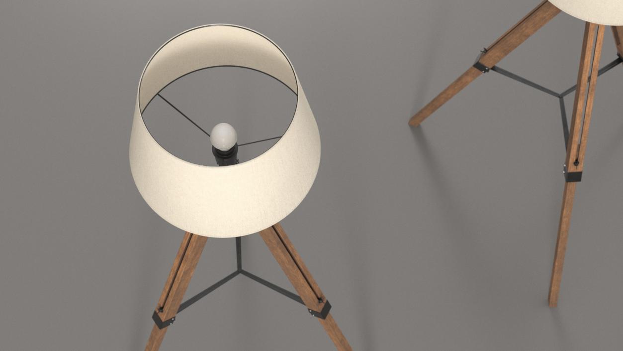 Tripod Floor Lamp 3D