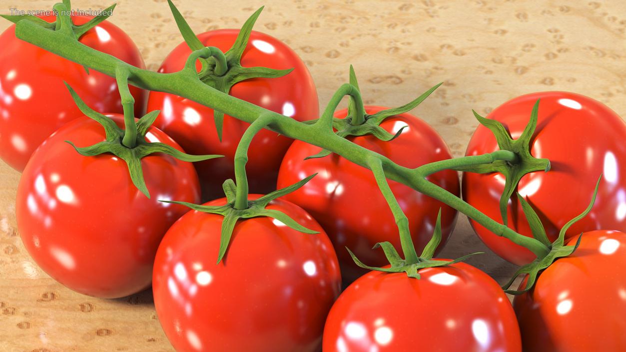 3D Fresh Cherry Tomatoes on the Vine model