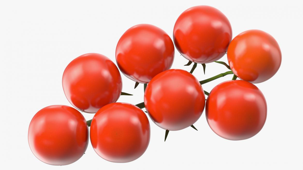 3D Fresh Cherry Tomatoes on the Vine model