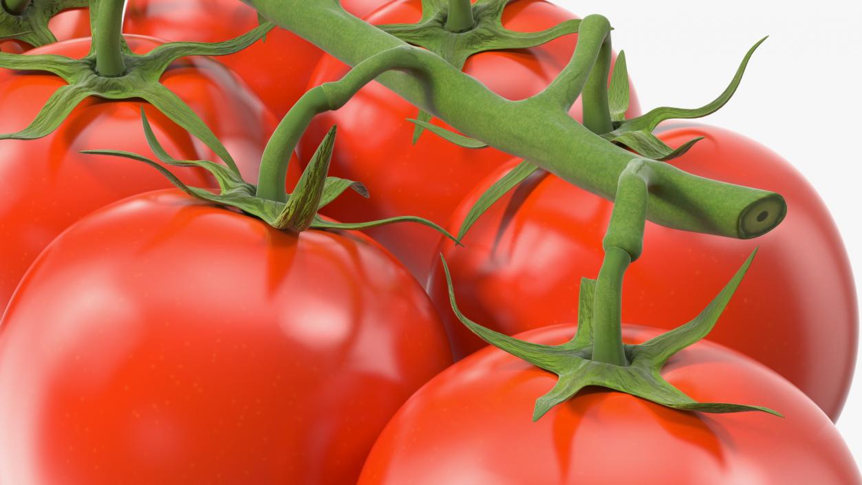 3D Fresh Cherry Tomatoes on the Vine model