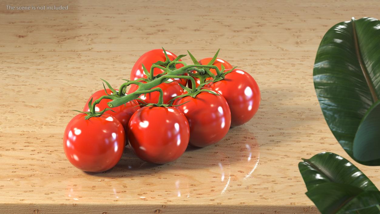 3D Fresh Cherry Tomatoes on the Vine model