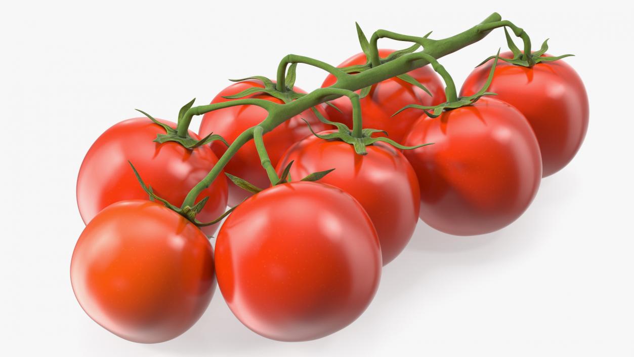 3D Fresh Cherry Tomatoes on the Vine model