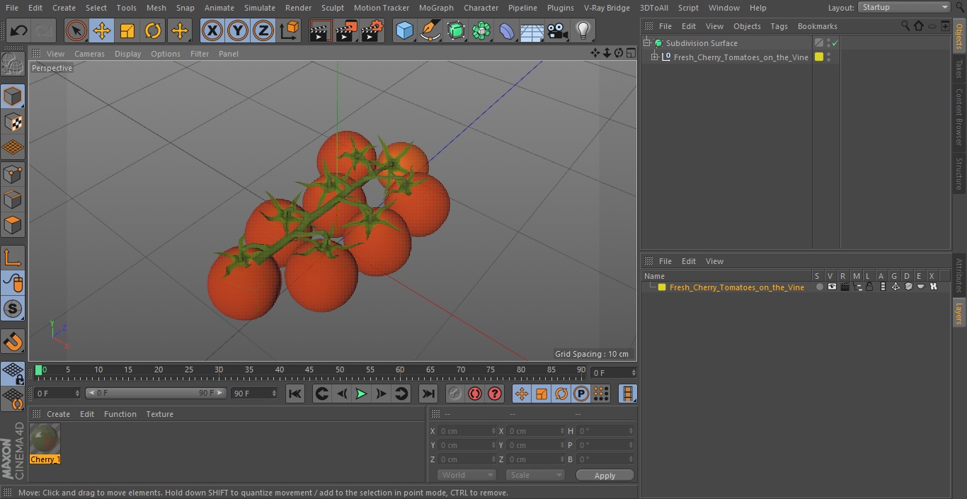 3D Fresh Cherry Tomatoes on the Vine model