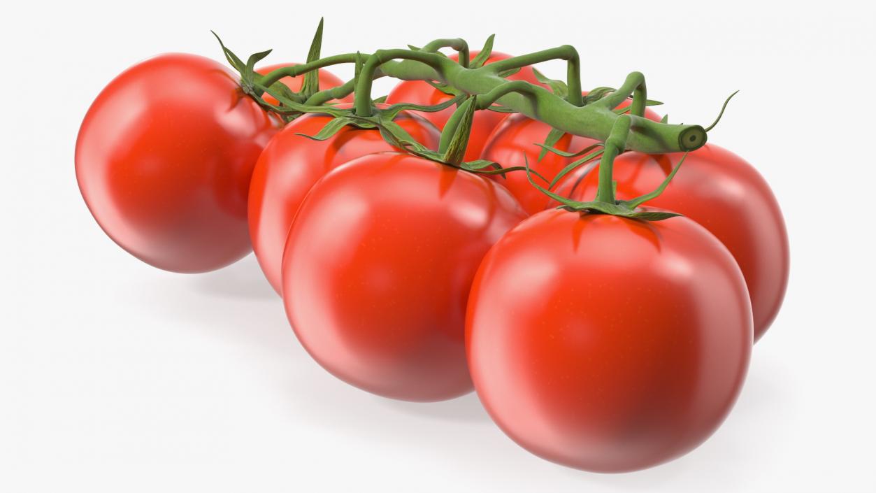 3D Fresh Cherry Tomatoes on the Vine model