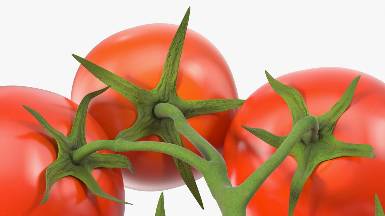 3D Fresh Cherry Tomatoes on the Vine model