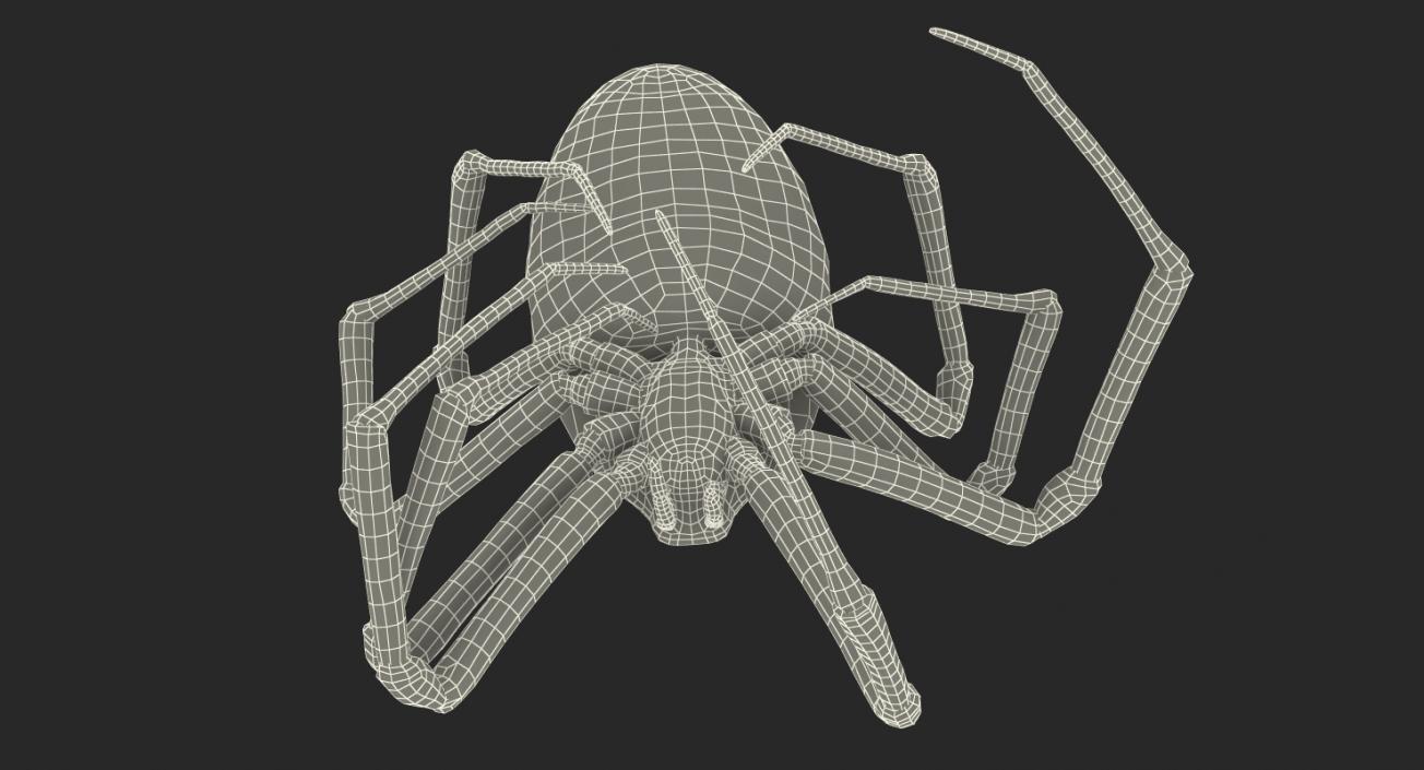 3D Dead Corn Spider