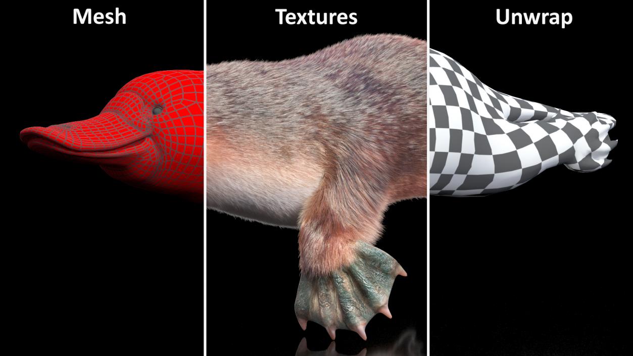 3D Swimming Platypus Fur