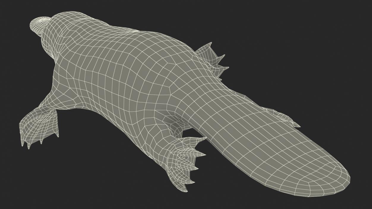 3D Swimming Platypus Fur