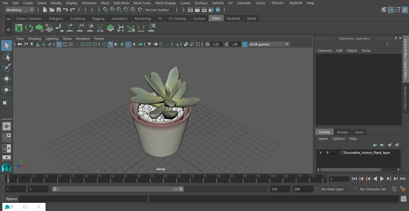 3D Decorative Indoor Plant model