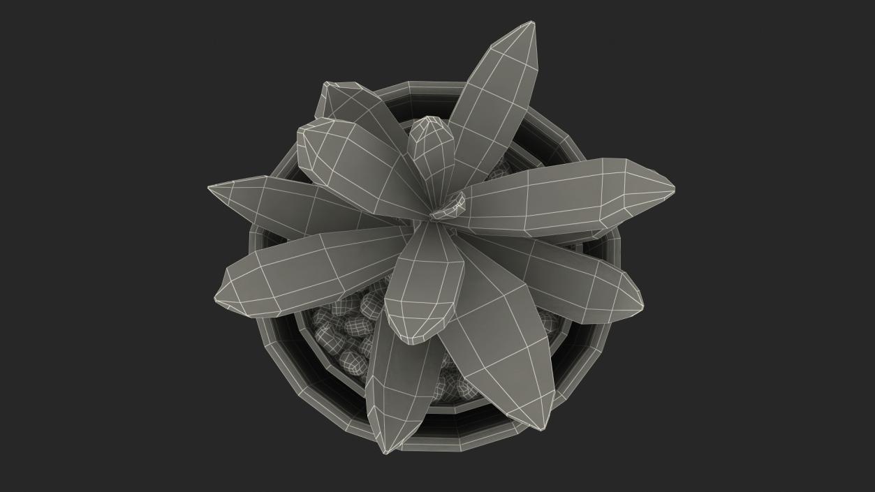 3D Decorative Indoor Plant model