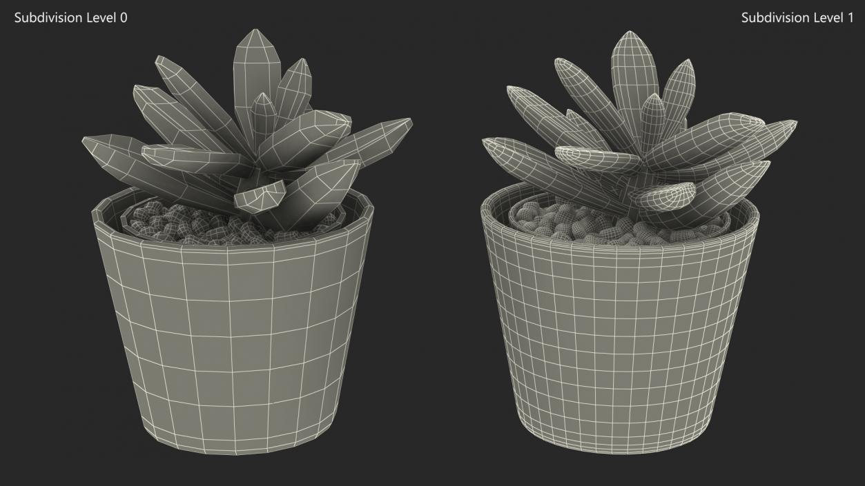 3D Decorative Indoor Plant model