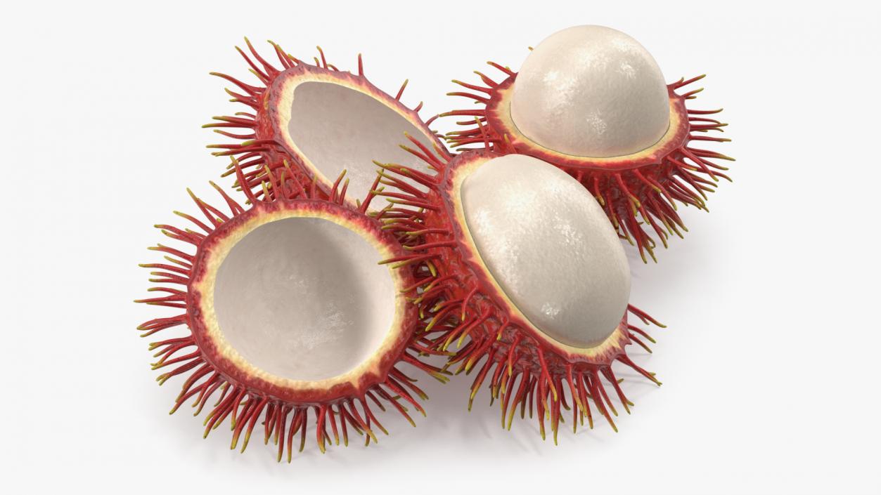 3D Rambutan Fruit Halves